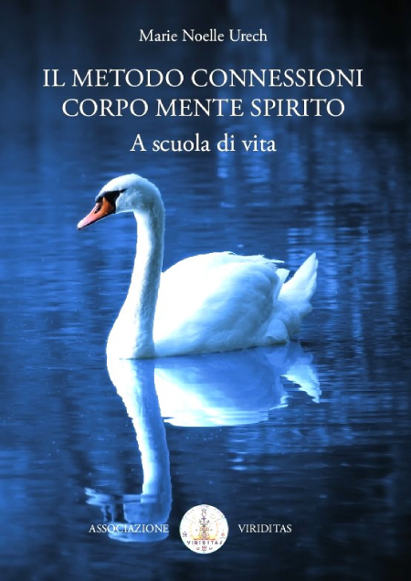 metodo ccms